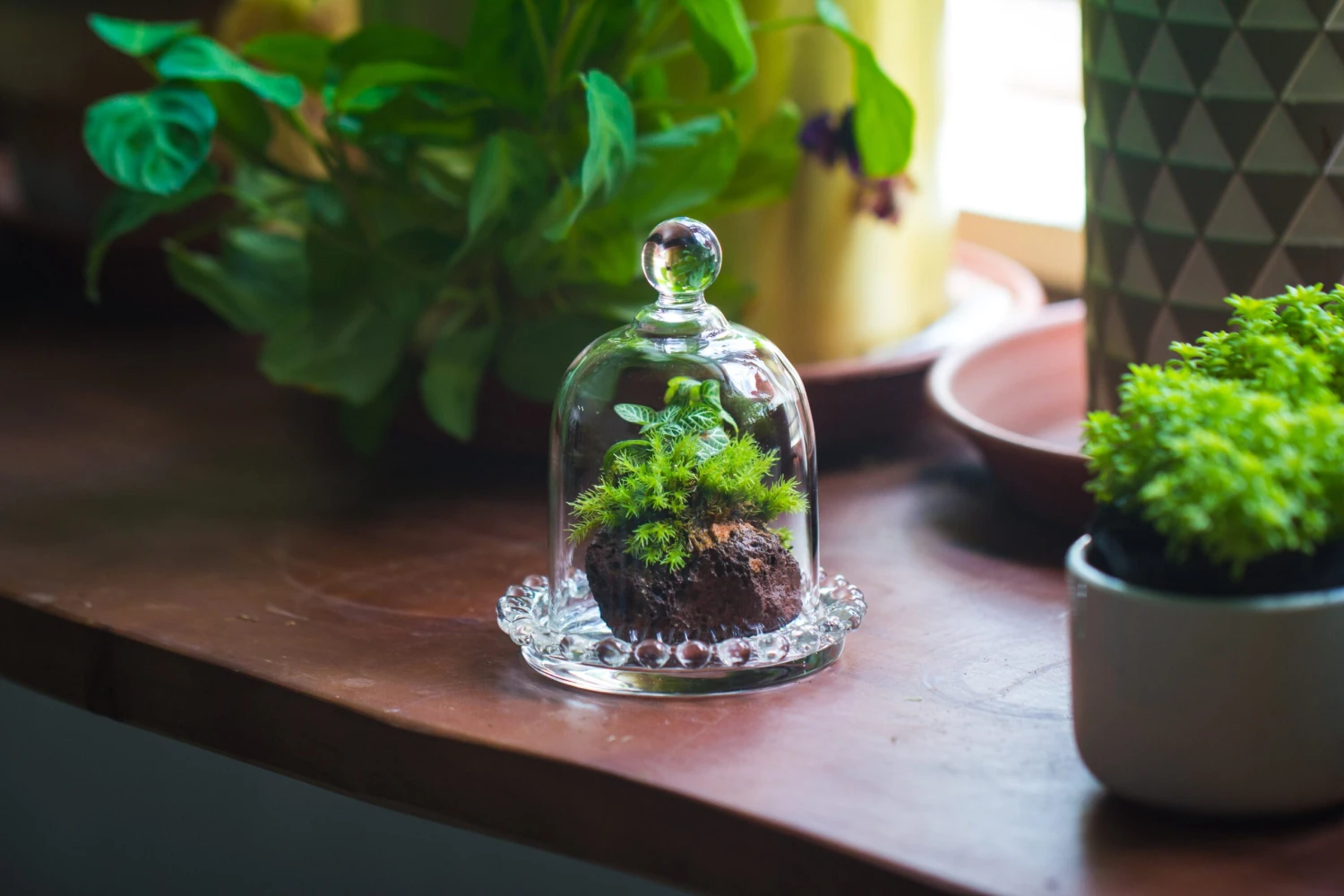 3 Units Mini Bell Shape Glass Cloche Dome With Beaded Decorative Base 9.5x14cm 10 3 Units Mini Bell Shape Glass Cloche Dome With Beaded Decorative Base 9.5x14cm - Image 10