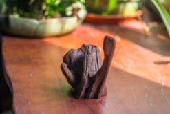 Natural Driftwood For Moss Terrarium, Miniature, Micro Landscape, Unique 10-54, Suitable For Both Live And Preserved Moss 10 Natural Driftwood For Moss Terrarium, Miniature, Micro Landscape, Unique 10-54, Suitable For Both Live And Preserved Moss -Glass Plant Store IMG 8241 9edff1ed f6cc 4626 a044 c630416b59e6