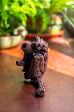 Natural Driftwood For Moss Terrarium, Miniature, Micro Landscape, Unique 10-54, Suitable For Both Live And Preserved Moss 12 Natural Driftwood For Moss Terrarium, Miniature, Micro Landscape, Unique 10-54, Suitable For Both Live And Preserved Moss -Glass Plant Store IMG 8243