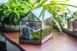 Handmade Close House-shaped Glass Terrarium Enclosure, With Acrylic Mesh Vent, For Jumping Spider, Snail Habitat, Terrarium Only -Glass Plant Store IMG 8270