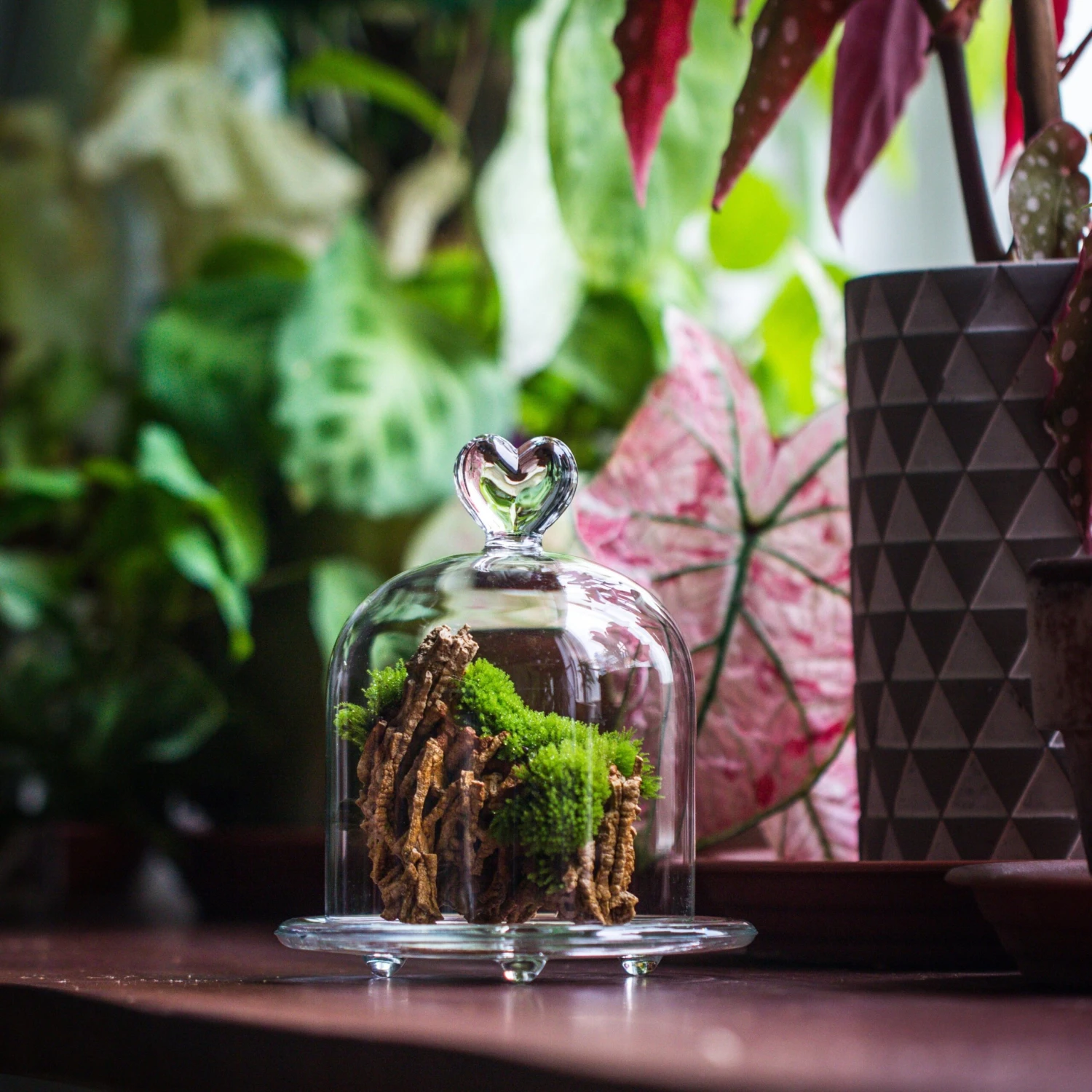 Heart Shape Tip Glass Cloche With Glass Base And Metal Gold Base Set 2 Heart Shape Tip Glass Cloche With Glass Base And Metal Gold Base Set - Image 2