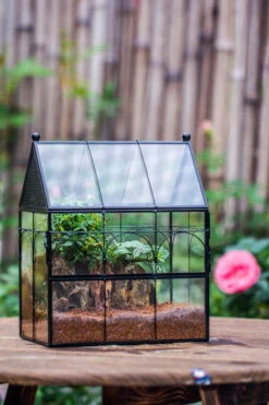 Handmade Terrarium With Light, House Shape Glass Geometric Terrarium With LED Light Set -Glass Plant Store IMG 8422 f1c0f1ea 419a 4e1c b248 859f82a3ef60
