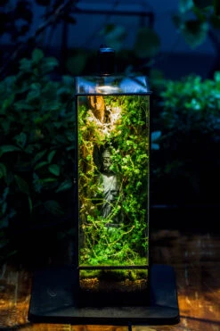 NCYP Close 11.8" Tall Geometric Glass Terrarium With Door, Tin Sealed Pillar, Planter For Moss Wall, Fern, Pitcher Plants, Tropical Plants -Glass Plant Store IMG 8528 e759b1da ab7c 40b3 856d 75c175b364fe