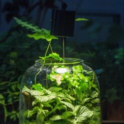5W Warm White Black LED Grow Light Adjustable With Black Matte Stand, Or Terrarium, Moss, Shade Plants, Multi Size Available Customizable - 29cm / 11.4" -Glass Plant Store IMG 8535