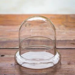 Round Glass Cloche Terrarium 12 Cm Diameter X 12cm Height With Matching Warm White Spot LED Grow Light And Base Set 23 Round Glass Cloche Terrarium 12 Cm Diameter X 12cm Height With Matching Warm White Spot LED Grow Light And Base Set -Glass Plant Store IMG 8539