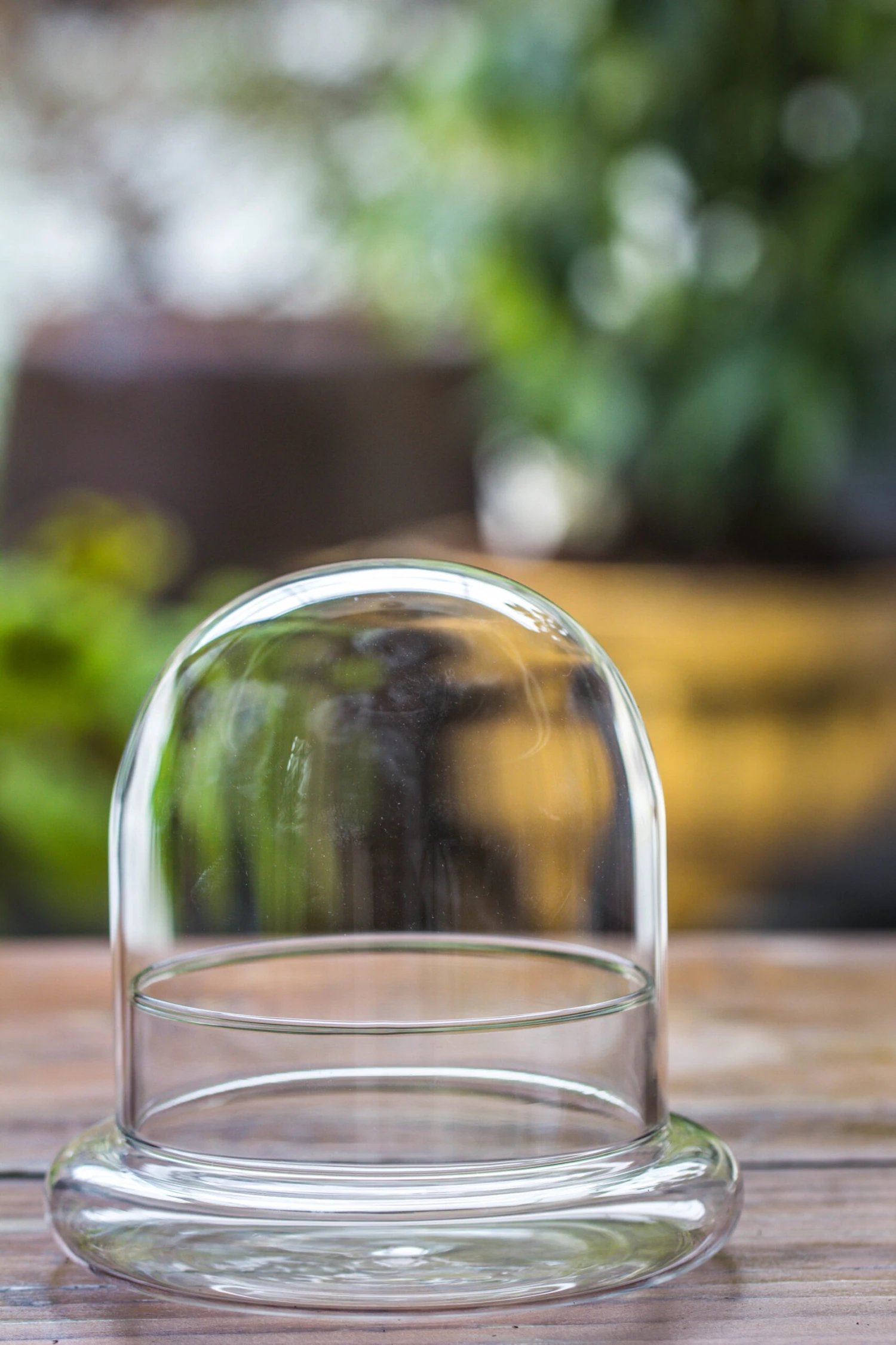 Round Glass Cloche Terrarium 12 Cm Diameter X 12cm Height With Matching Warm White Spot LED Grow Light And Base Set 5 Round Glass Cloche Terrarium 12 Cm Diameter X 12cm Height With Matching Warm White Spot LED Grow Light And Base Set - Image 5