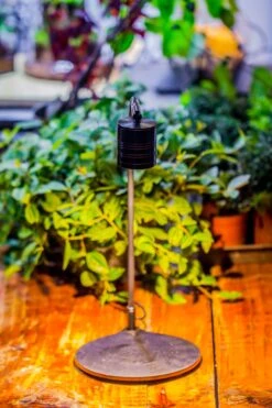 5W Warm White Black LED Grow Light Adjustable With Black Matte Stand, Or Terrarium, Moss, Shade Plants, Multi Size Available Customizable - 29cm / 11.4" -Glass Plant Store IMG 8656 4eb1e022 2b02 479e 9cfb a06ac653fecf