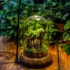 Round Glass Cloche Terrarium 12 Cm Diameter X 18cm Height With Matching Warm White Spot LED Grow Light And Base Set