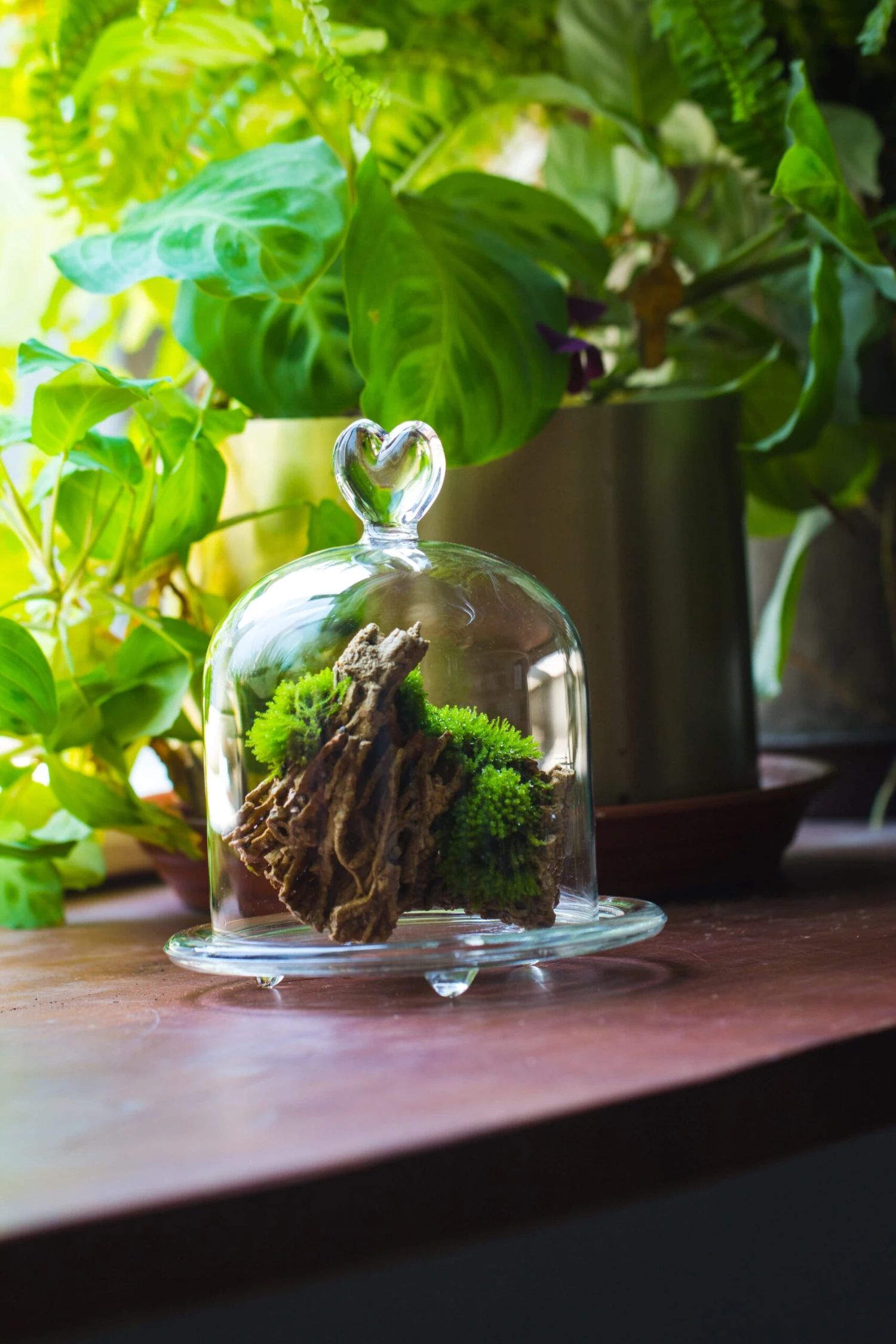 Heart Shape Tip Glass Cloche With Glass Base And Metal Gold Base Set 10 Heart Shape Tip Glass Cloche With Glass Base And Metal Gold Base Set - Image 10