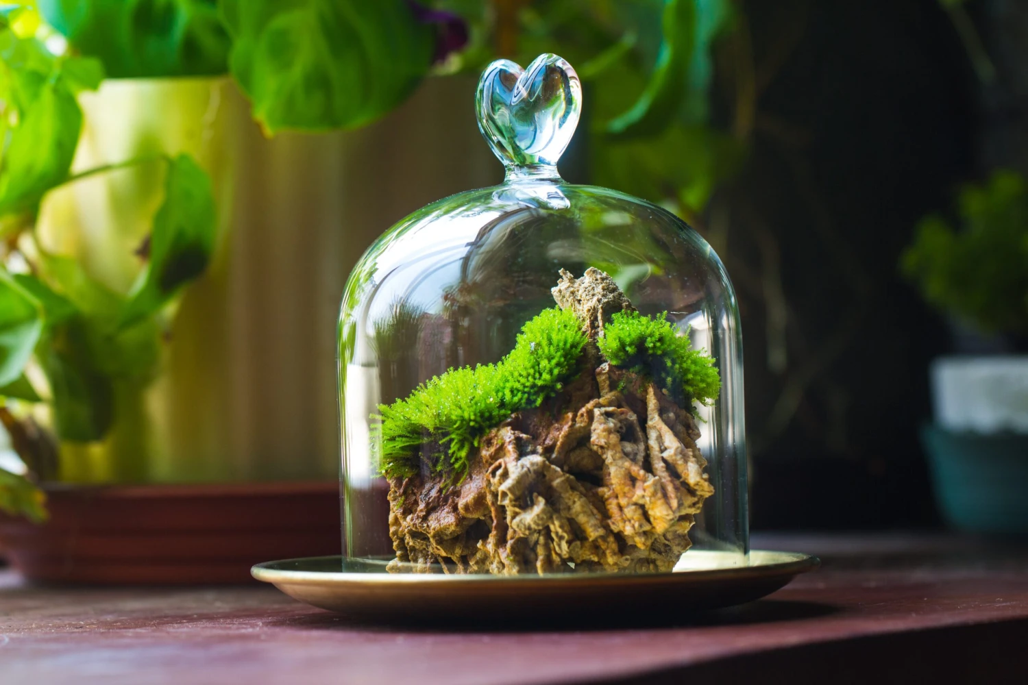 Heart Shape Tip Glass Cloche With Glass Base And Metal Gold Base Set 20 Heart Shape Tip Glass Cloche With Glass Base And Metal Gold Base Set - Image 20