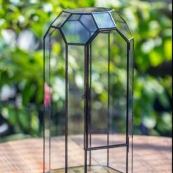 Vintage Tall Octagon Geometric Tin Glass Terrarium , 12.6" , Close, Suitable For Tall Plants, Orchid, Small Begonia Pitcher, Micro Landscape -with White Light Set 22 Vintage Tall Octagon Geometric Tin Glass Terrarium , 12.6" , Close, Suitable For Tall Plants, Orchid, Small Begonia Pitcher, Micro Landscape -with White Light Set -Glass Plant Store IMG 8800 4a7be5a5 1875 49a5 a113 96d0cb7ff616