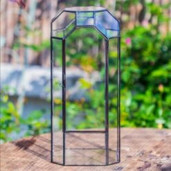 Vintage Tall Octagon Geometric Tin Glass Terrarium , 12.6" , Close, Suitable For Tall Plants, Orchid, Small Begonia Pitcher, Micro Landscape -with Warm Light Set 22 Vintage Tall Octagon Geometric Tin Glass Terrarium , 12.6" , Close, Suitable For Tall Plants, Orchid, Small Begonia Pitcher, Micro Landscape -with Warm Light Set -Glass Plant Store IMG 8804 421f1e18 fc89 4588 87b3 af0cb34172fe