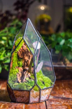Cliff Terrarium Building DIY Set: Live Moss Cliff TearDrop Close Terrarium With Matching LED Grow Light And Base 33 Cliff Terrarium Building DIY Set: Live Moss Cliff TearDrop Close Terrarium With Matching LED Grow Light And Base -Glass Plant Store IMG 8868