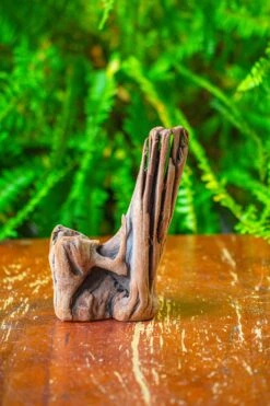 Driftwood For Moss Terrarium, Miniature, Micro Landscape,T8015 -Glass Plant Store IMG 8884 1774818f eb2f 461b 9488 20a2690cc411