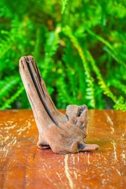 Driftwood For Moss Terrarium, Miniature, Micro Landscape,T8015 -Glass Plant Store IMG 8886 aa041bea a200 4aea 8a4f b7aaa9b244f3