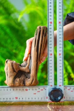 Driftwood For Moss Terrarium, Miniature, Micro Landscape,T8015 -Glass Plant Store IMG 8888