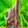 Driftwood For Moss Terrarium, Miniature, Micro Landscape,T8010