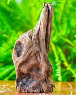Driftwood For Moss Terrarium, Miniature, Micro Landscape,T8010