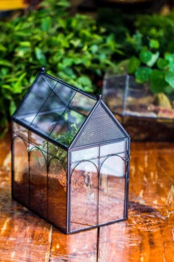 Handmade Terrarium With Light, House Shape Glass Geometric Terrarium With LED Light Set -Glass Plant Store IMG 8892 dfdb4f59 68de 490e 94c3 0245016a8d0c
