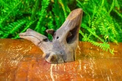 Driftwood For Moss Terrarium, Miniature, Micro Landscape,T8014 -Glass Plant Store IMG 8896