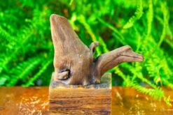 Driftwood For Moss Terrarium, Miniature, Micro Landscape,T8014 -Glass Plant Store IMG 8898