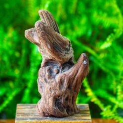 Driftwood For Moss Terrarium, Miniature, Micro Landscape,T8006