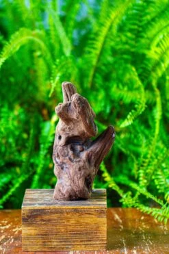 Driftwood For Moss Terrarium, Miniature, Micro Landscape,T8006 -Glass Plant Store IMG 8935
