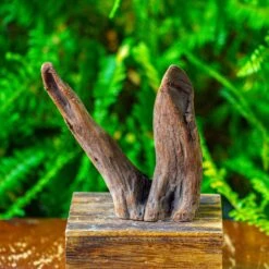 Driftwood For Moss Terrarium, Miniature, Micro Landscape,T8016