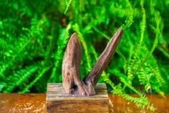 Driftwood For Moss Terrarium, Miniature, Micro Landscape,T8016 -Glass Plant Store IMG 8941
