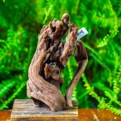 Driftwood For Moss Terrarium, Miniature, Micro Landscape,T8008