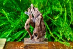 Driftwood For Moss Terrarium, Miniature, Micro Landscape,T8008 -Glass Plant Store IMG 8947