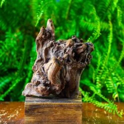 Driftwood For Moss Terrarium, Miniature, Micro Landscape,T8009