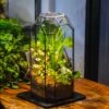Vintage Tall Octagon Geometric Tin Glass Terrarium , 12.6" , Open, Suitable For Tall Plants, Orchid, Small Begonia Pitcher, Micro Landscape -with Warm Light Set