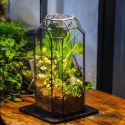 Vintage Tall Octagon Geometric Tin Glass Terrarium , 12.6" , Open, Suitable For Tall Plants, Orchid, Small Begonia Pitcher, Micro Landscape -with Warm Light Set