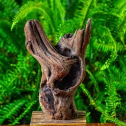 Driftwood For Moss Terrarium, Miniature, Micro Landscape,T8007