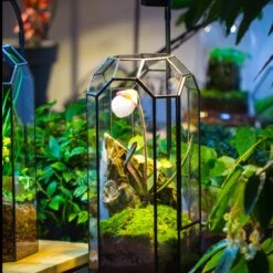 Vintage Tall Octagon Geometric Tin Glass Terrarium , 12.6" , Close, Suitable For Tall Plants, Orchid, Small Begonia Pitcher, Micro Landscape -with Warm Light Set