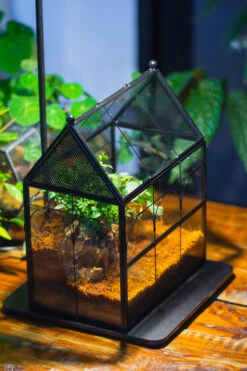 Handmade Terrarium With Light, House Shape Glass Geometric Terrarium With LED Light Set -Glass Plant Store IMG 9014 6643e474 2737 4b98 9703 7cae789ee9d3