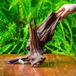 Driftwood For Moss Terrarium, Miniature, Micro Landscape, H8002