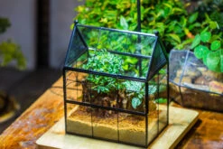 Handmade Terrarium With Light, House Shape Glass Geometric Terrarium With LED Light Set -Glass Plant Store IMG 9025 5b6199d3 edff 44f0 a438 2034872befdb