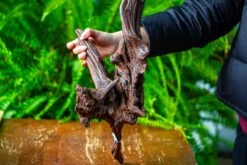 Driftwood For Moss Terrarium, Miniature, Micro Landscape, H8002 -Glass Plant Store IMG 9028 c859b645 5c1e 49e1 9100 f3c09ef5ab52