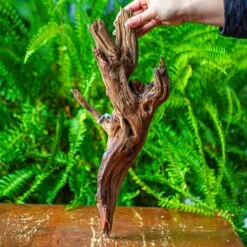 Driftwood For Moss Terrarium, Miniature, Micro Landscape, H8005