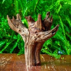 Driftwood For Moss Terrarium, Miniature, Micro Landscape, H8004