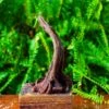 Driftwood For Moss Terrarium, Miniature, Micro Landscape,TS001