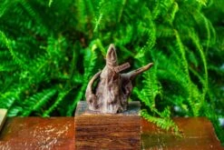 Driftwood For Moss Terrarium, Miniature, Micro Landscape,TS010 -Glass Plant Store IMG 9091