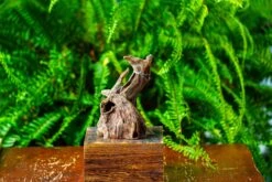 Driftwood For Moss Terrarium, Miniature, Micro Landscape,TS010 -Glass Plant Store IMG 9092 2c4e1463 2c80 4be5 9329 94a936c1c790