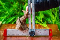 Driftwood For Moss Terrarium, Miniature, Micro Landscape,TS010 -Glass Plant Store IMG 9095 7575640b 1494 4656 9ca9 979994da28c3