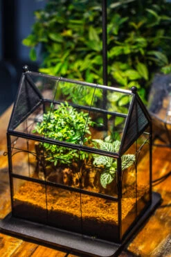 Handmade Terrarium With Light, House Shape Glass Geometric Terrarium With LED Light Set -Glass Plant Store IMG 9102