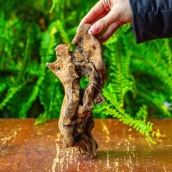 Driftwood For Moss Terrarium, Miniature, Micro Landscape,TS008
