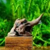 Driftwood For Moss Terrarium, Miniature, Micro Landscape,TS002
