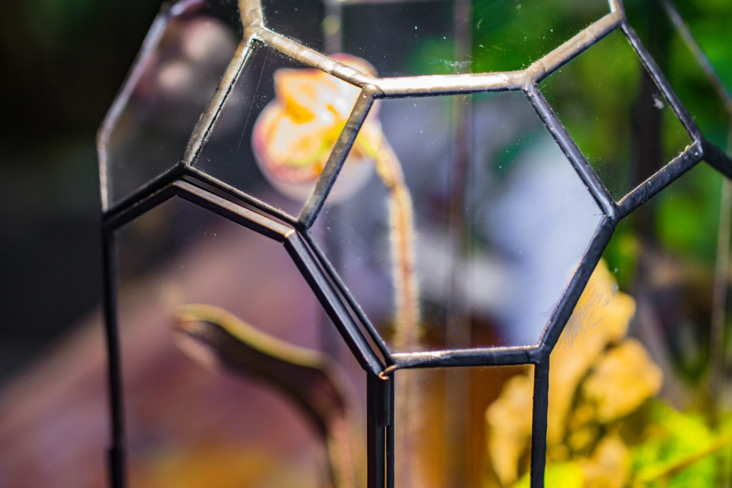 Vintage Tall Octagon Geometric Tin Glass Terrarium , 12.6" , Close, Suitable For Tall Plants, Orchid, Small Begonia Pitcher, Micro Landscape -with Warm Light Set 13 Vintage Tall Octagon Geometric Tin Glass Terrarium , 12.6" , Close, Suitable For Tall Plants, Orchid, Small Begonia Pitcher, Micro Landscape -with Warm Light Set - Image 13